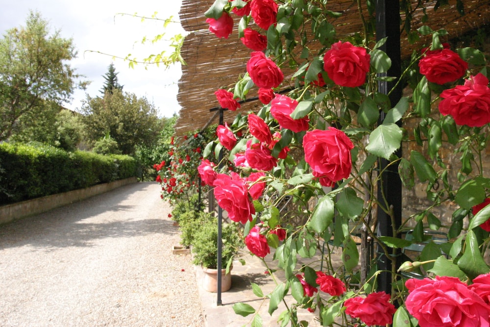Agriturismo San Ottaviano