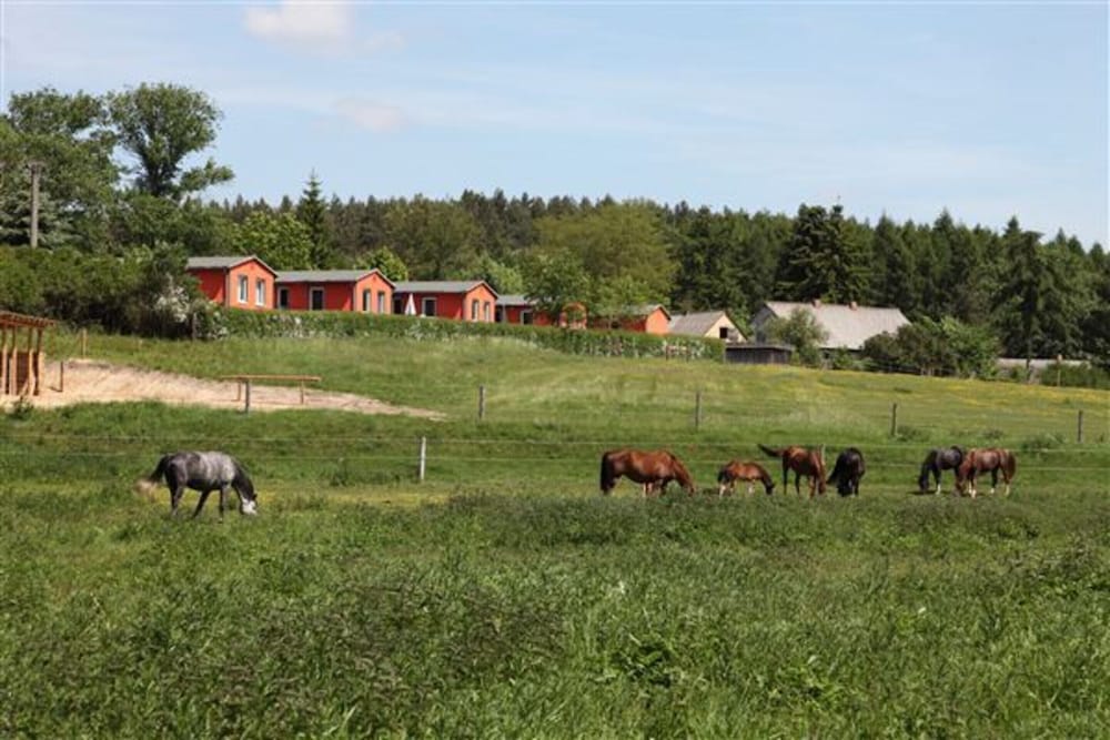 Ferienhaus am Garder See Inselblick
