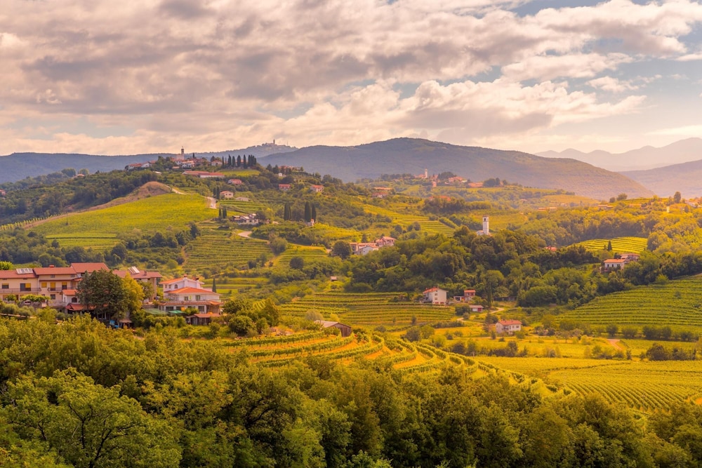 Neda Apartment In Krasno Among Vineyards