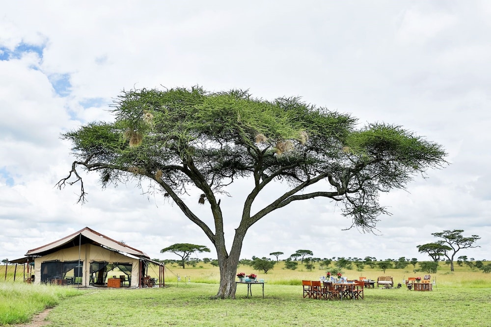Pumzika Luxury Safari Camp - East Africa Camps