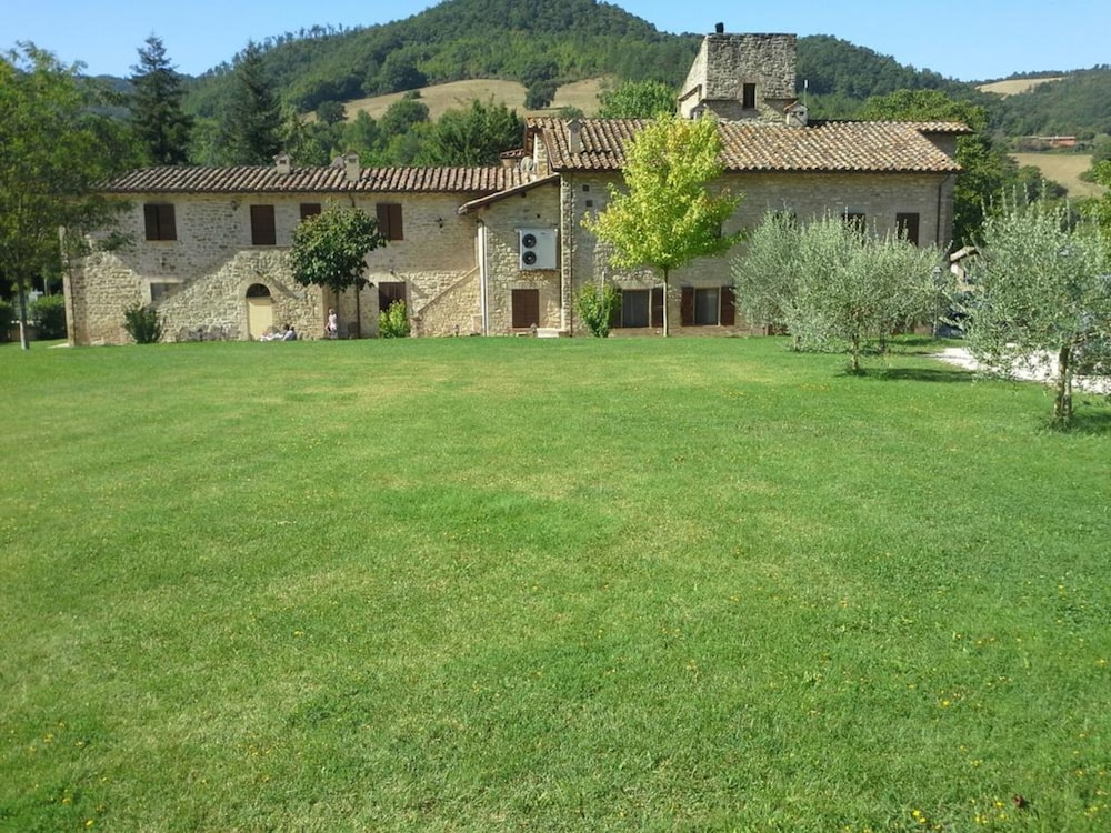 Photo 19