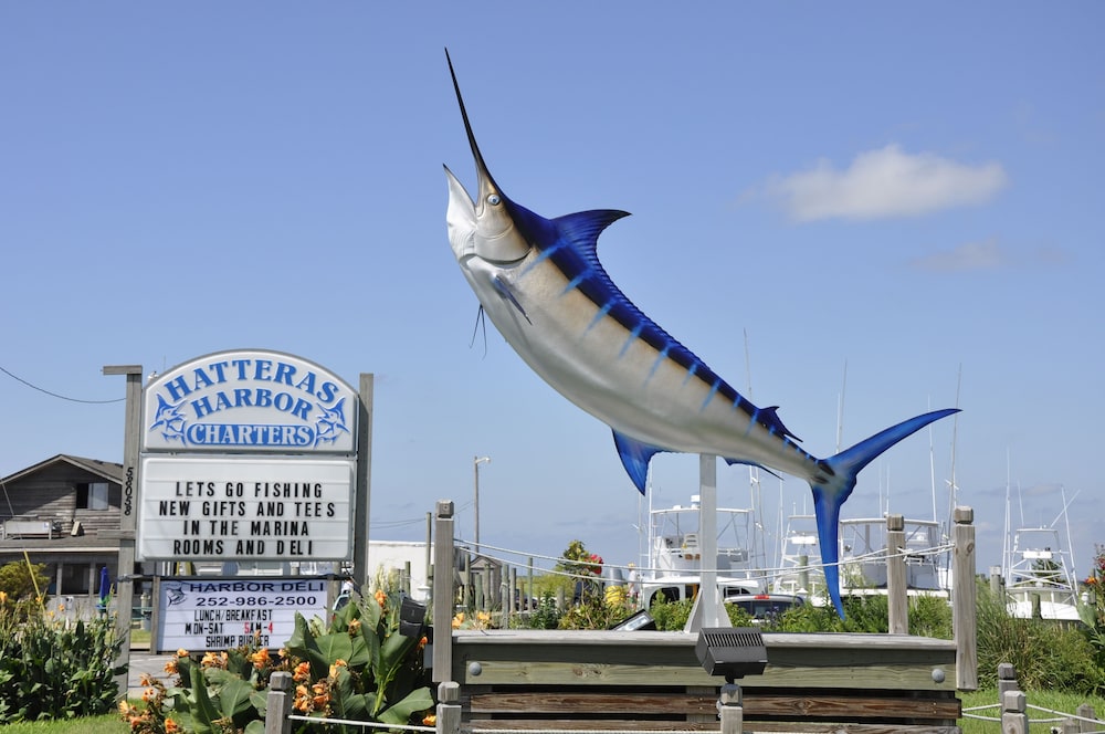 Hatteras Harbor Marina