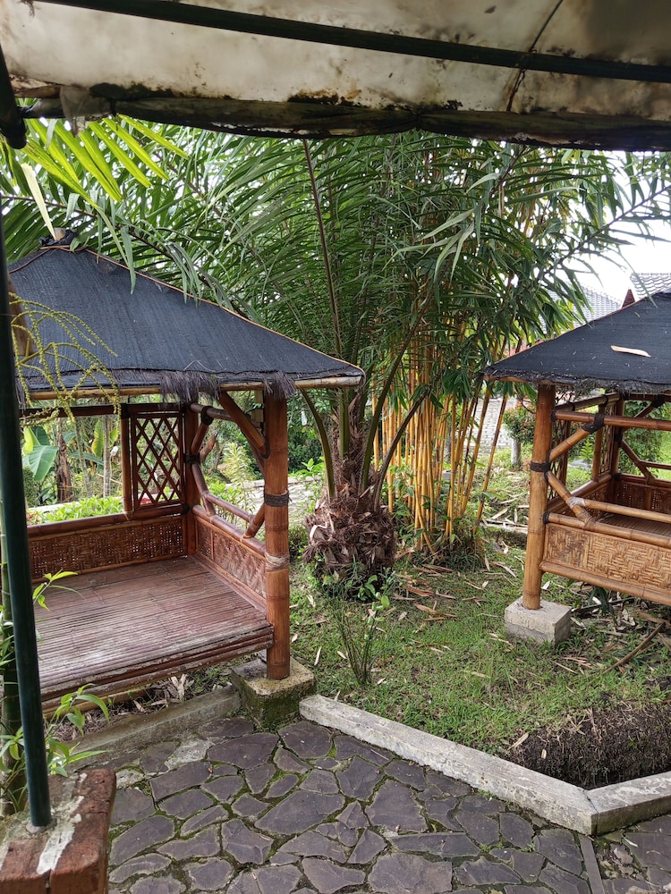 Tulip Guest House & Cafe