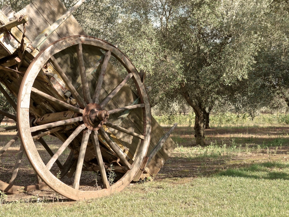 Tenuta Masseria & Spa Chicco Rizzo
