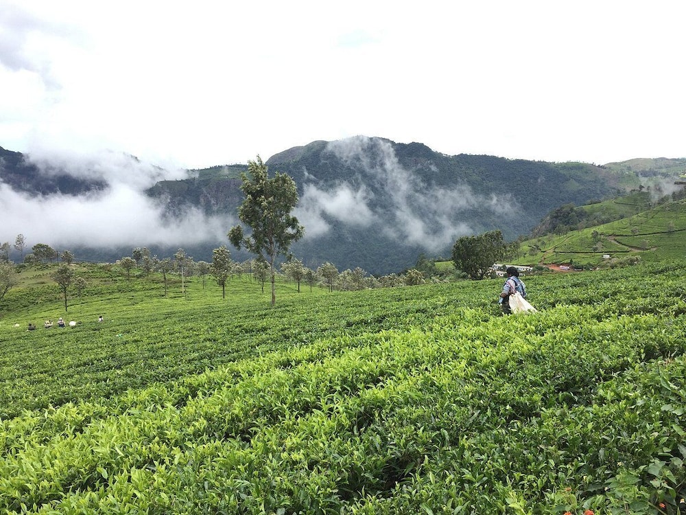 Teanest by Nature Resorts and Stay