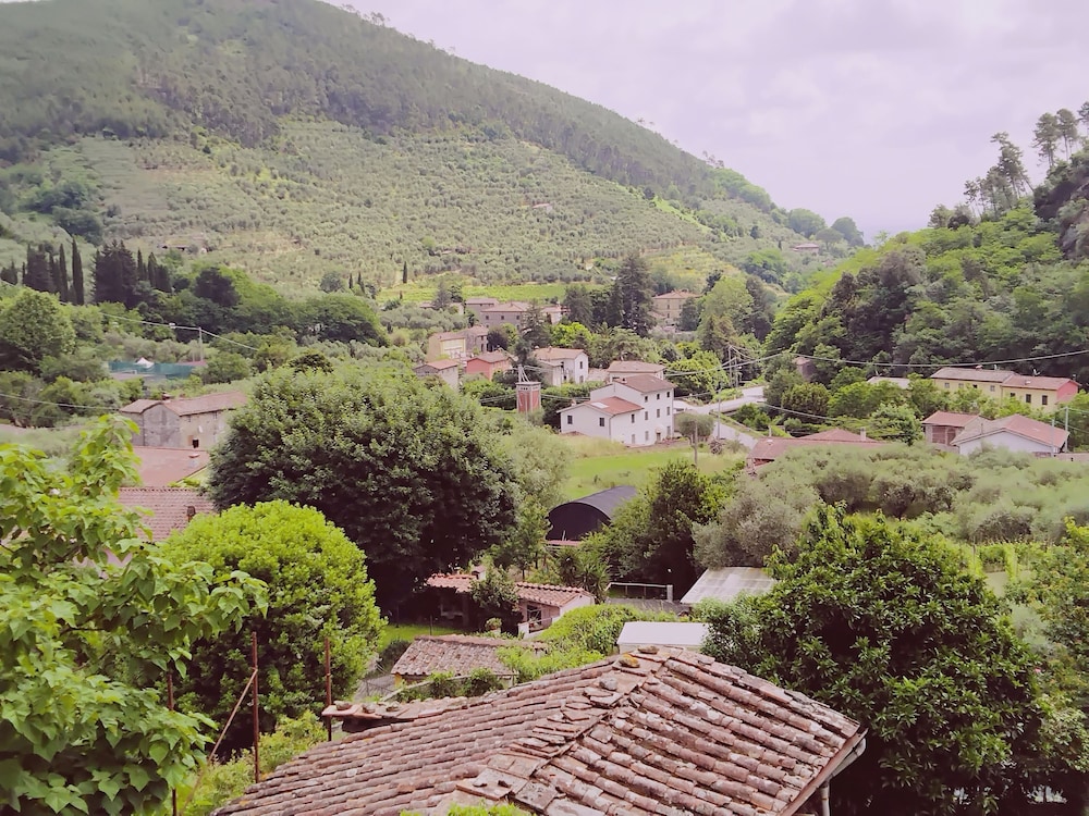 Casale Delle Camelie