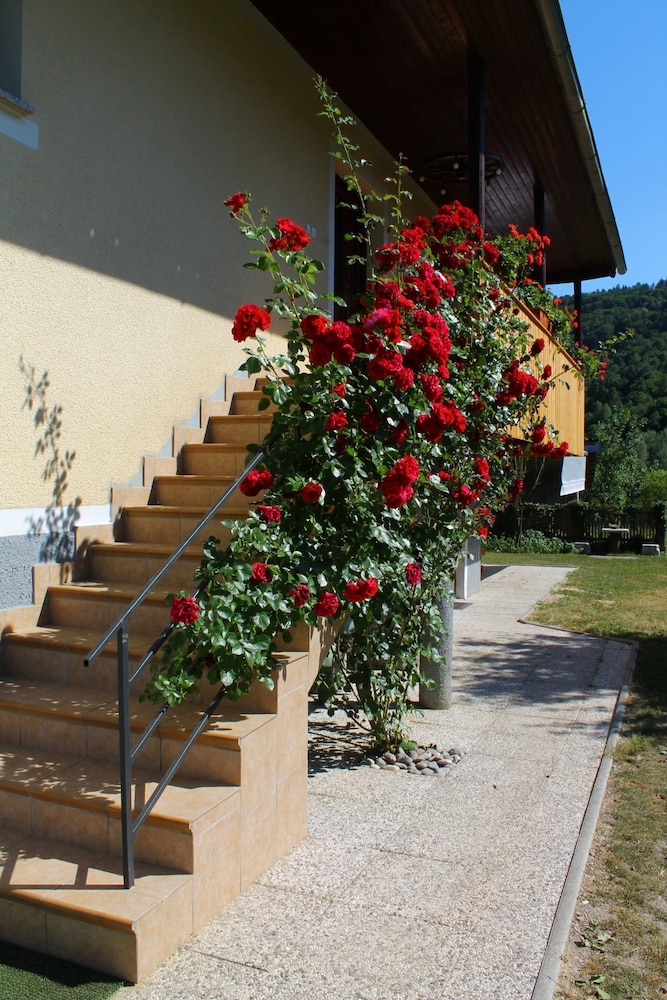 Photo 30