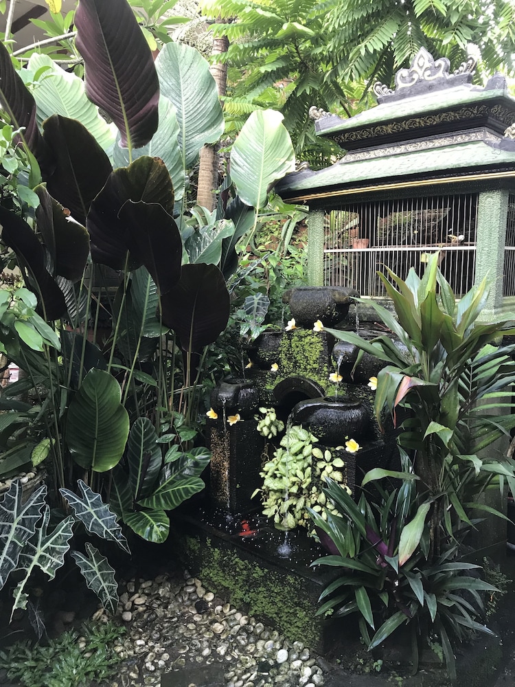 Kacu guest house