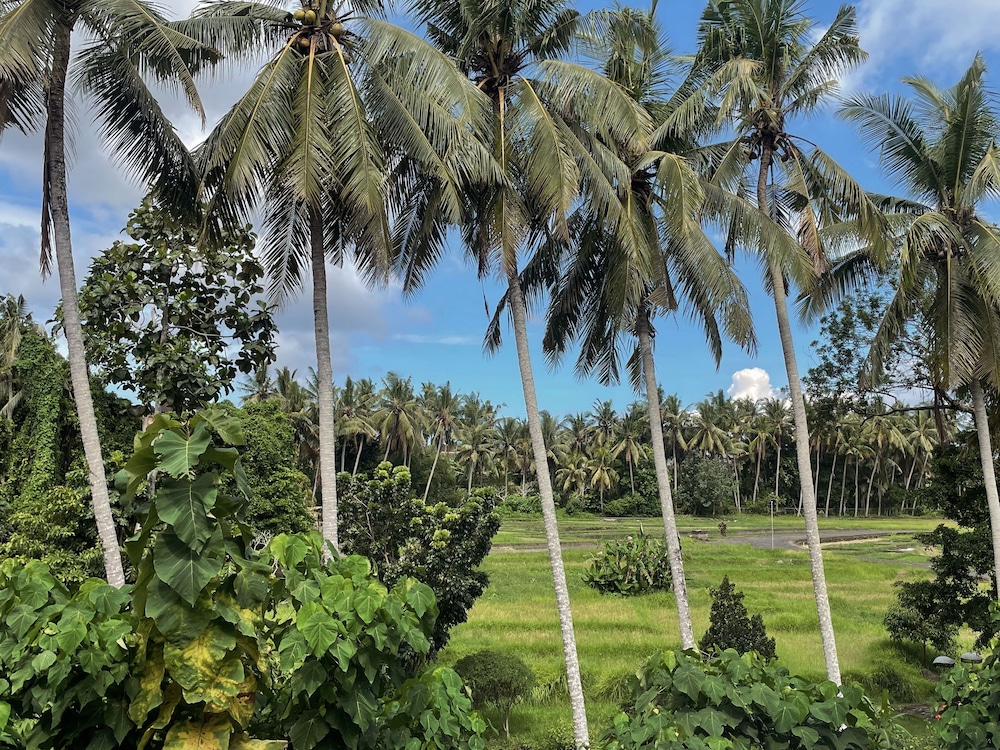 Hidden City Ubud - Modern Villas & Townhouses with Private Pools, Nature Views and Wellness Access