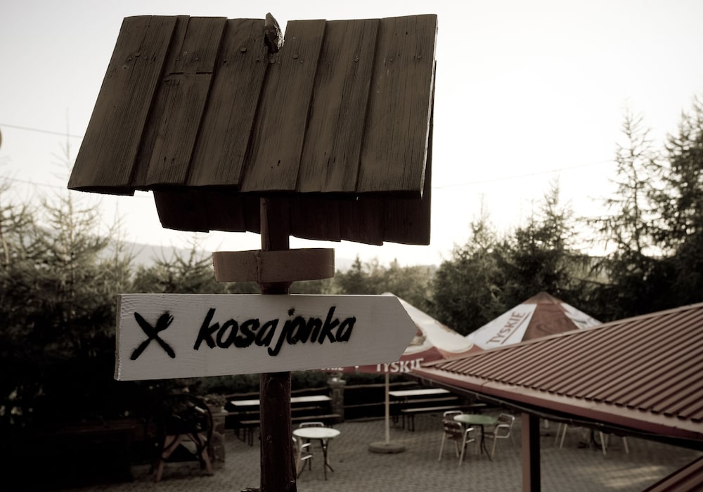 Kosajonka