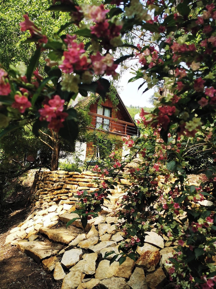 Sunny Wooden House on Creek, 30 Minutes Prague