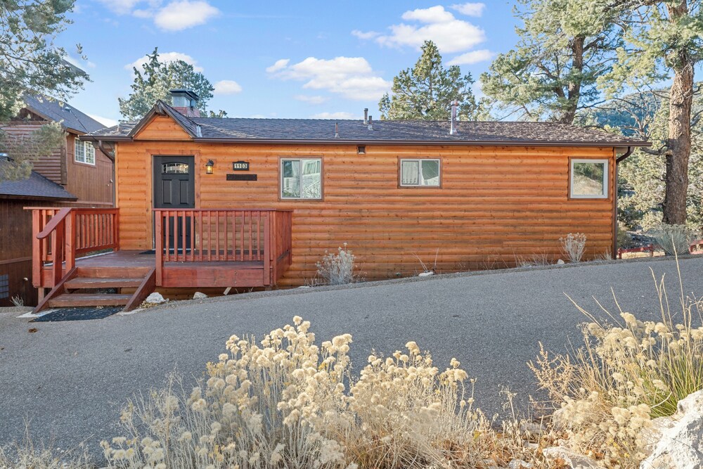 Forest Edge Retreat