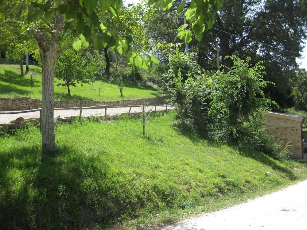 Photo 29