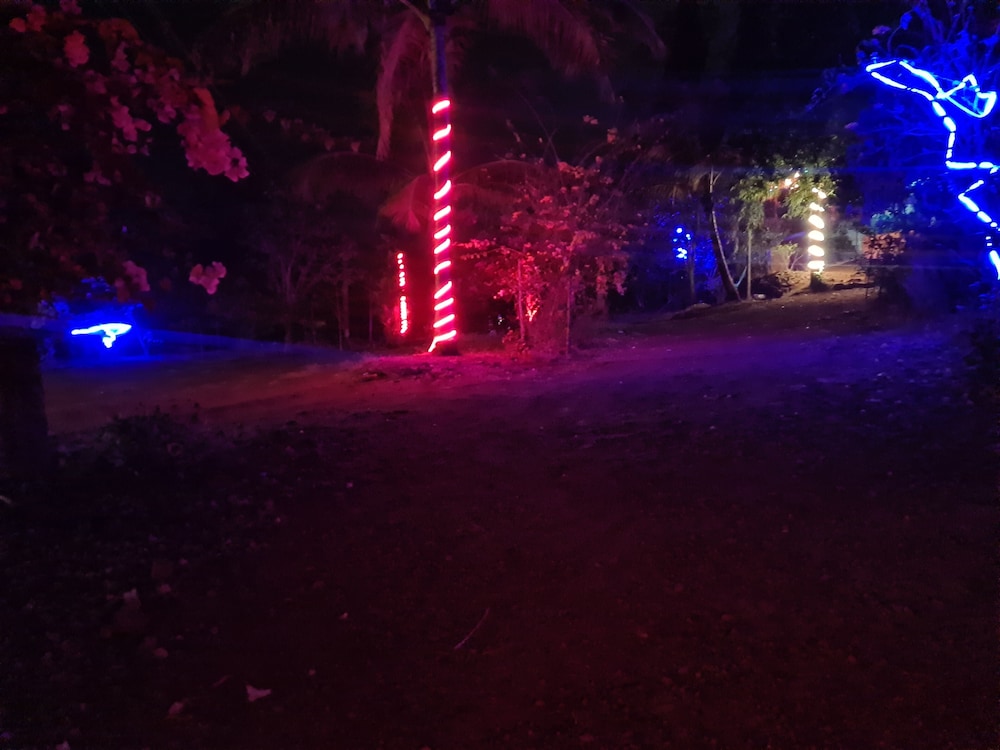 Savli Farm's Nature Retreat & Adventures
