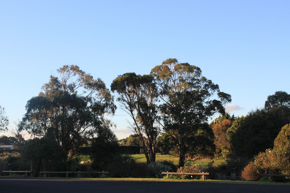Mount Gambier International Motel