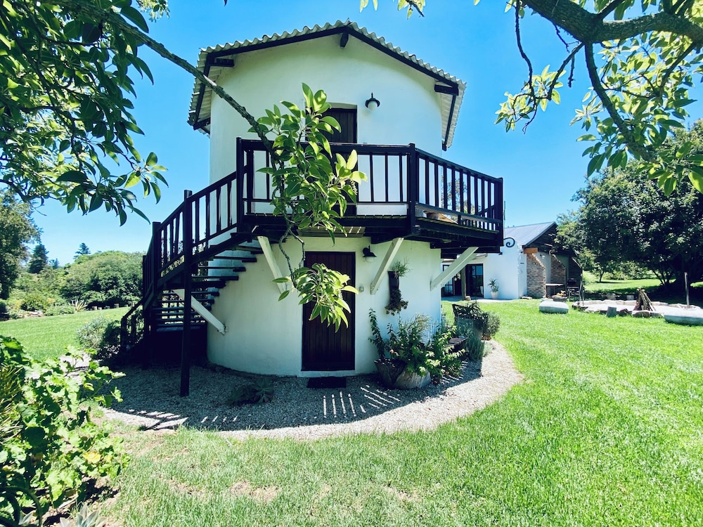 Photo 98