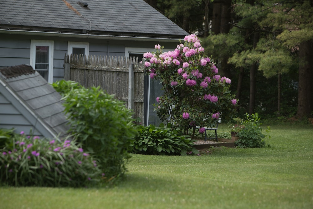 Photo 34