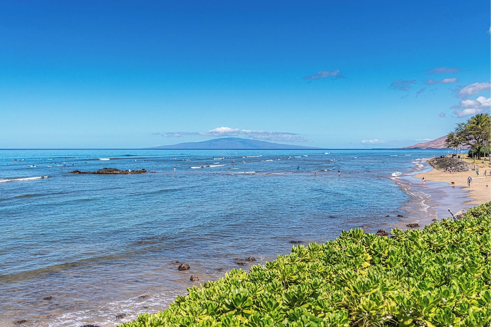Maui Vista 2-301 - Modern and Bright Renovation in Building 2, No Carpet, AC!