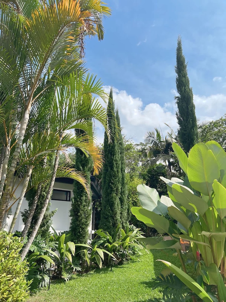 Amazing 6BR Oasis in Poblado MDE