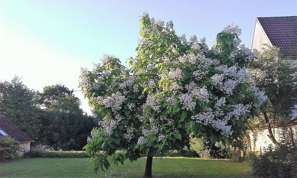 La Cuvellerie