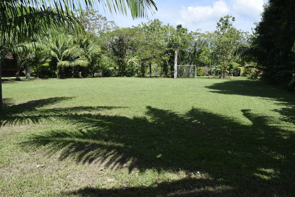 Photo 44