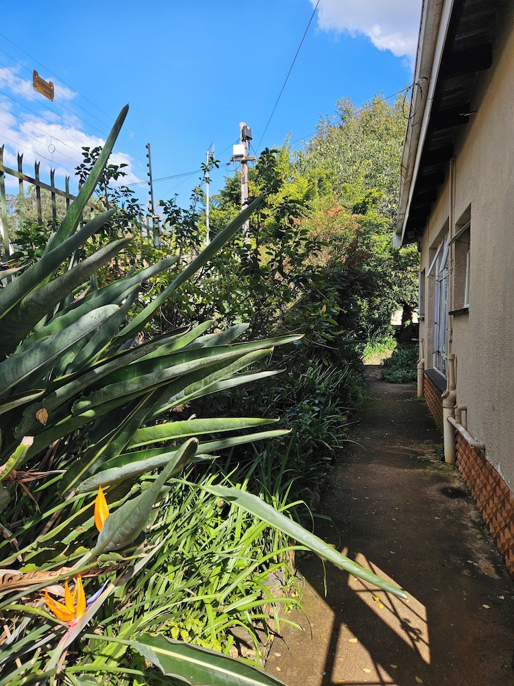 Birchway's Backpackers