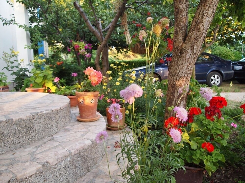 Photo 10