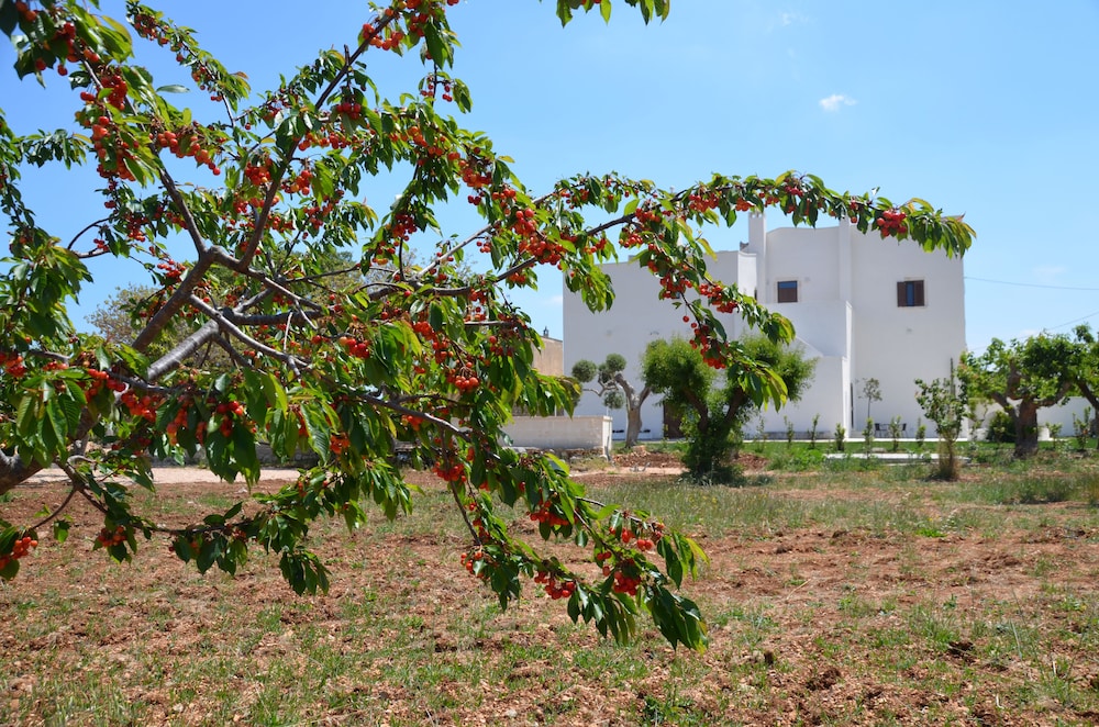Masseria Poli