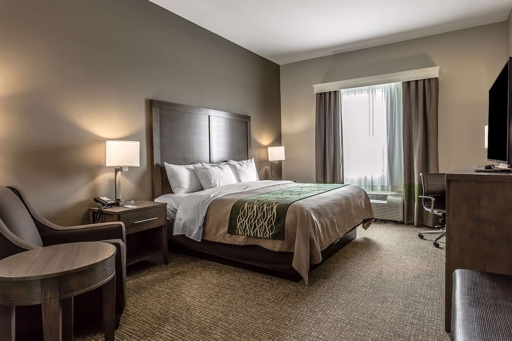 Comfort Inn & Suites Snyder