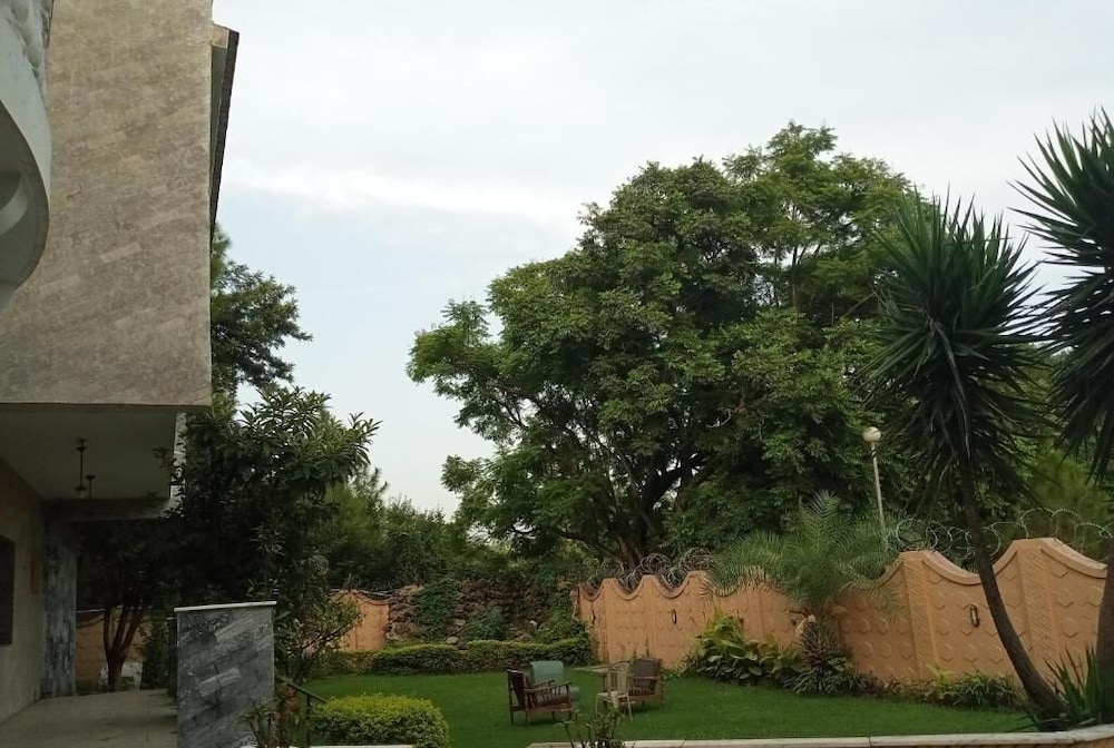 Photo 11