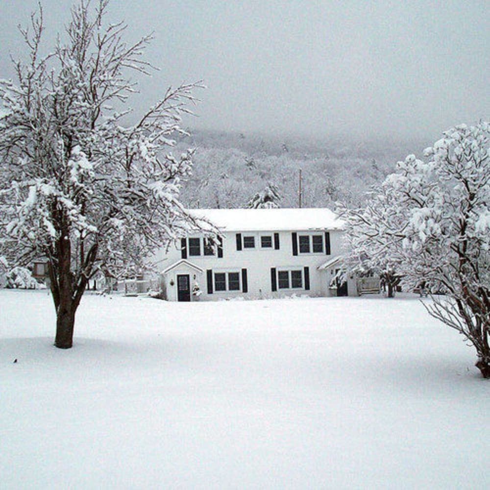 Filigree Inn Bed & Breakfast