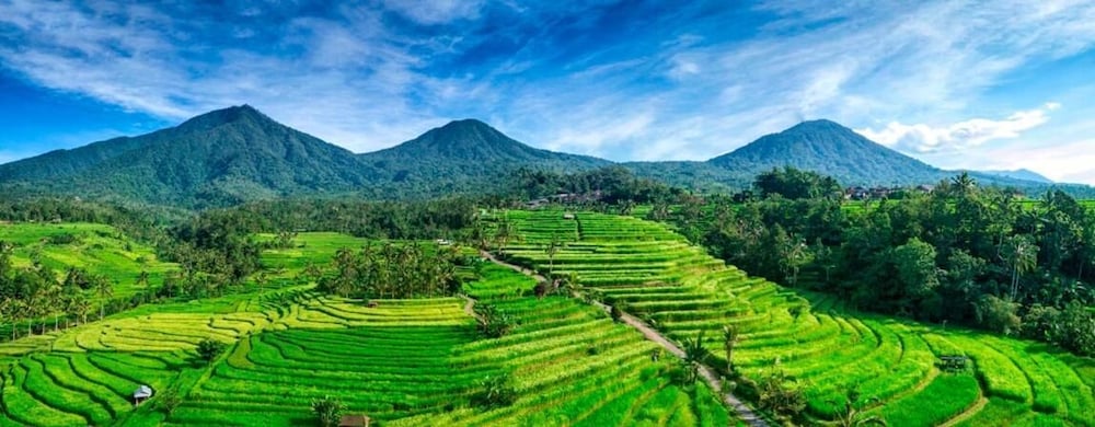 Beluran Serene Guesthouse
