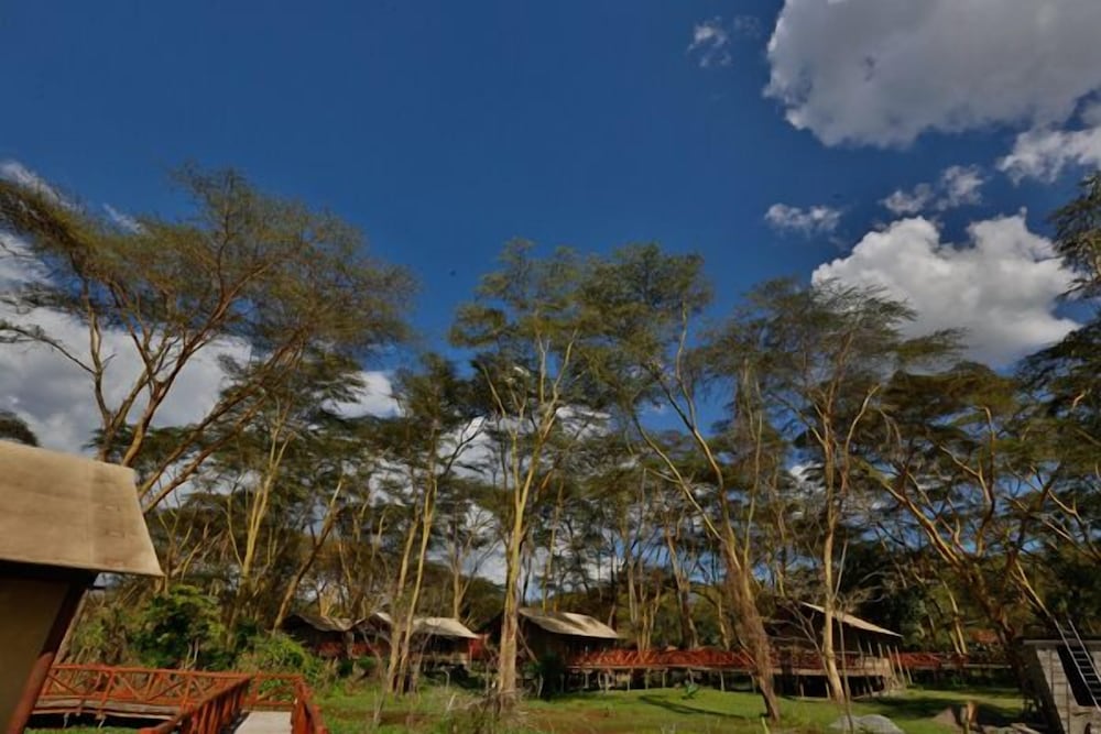 Muthu Keekorok Lodge, Maasai Mara, Narok