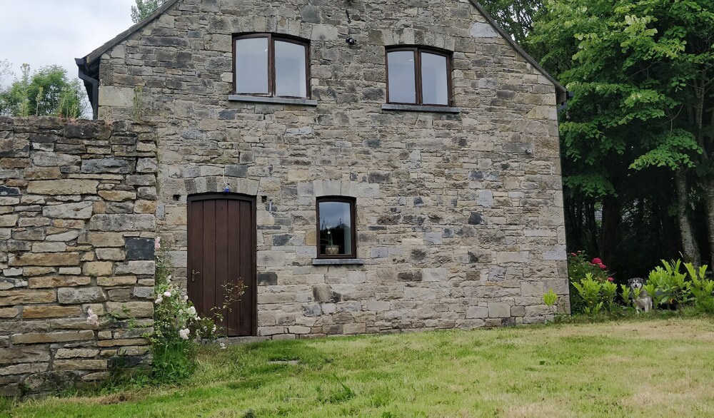 Cosy two Bedroom Lodge on the Edge of Raheen Woods view 3
