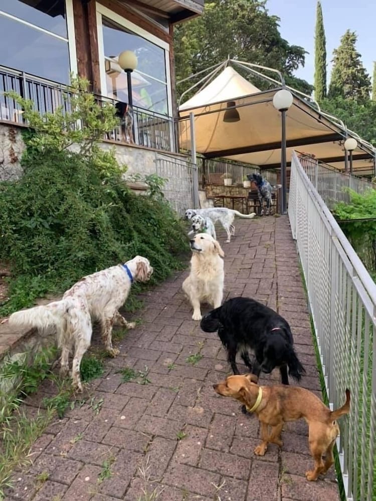 Setter House Agri Hotel