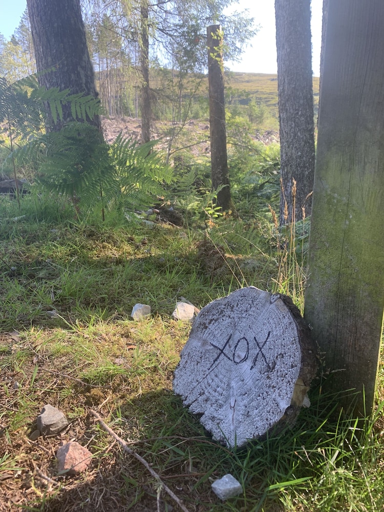 Glendevin