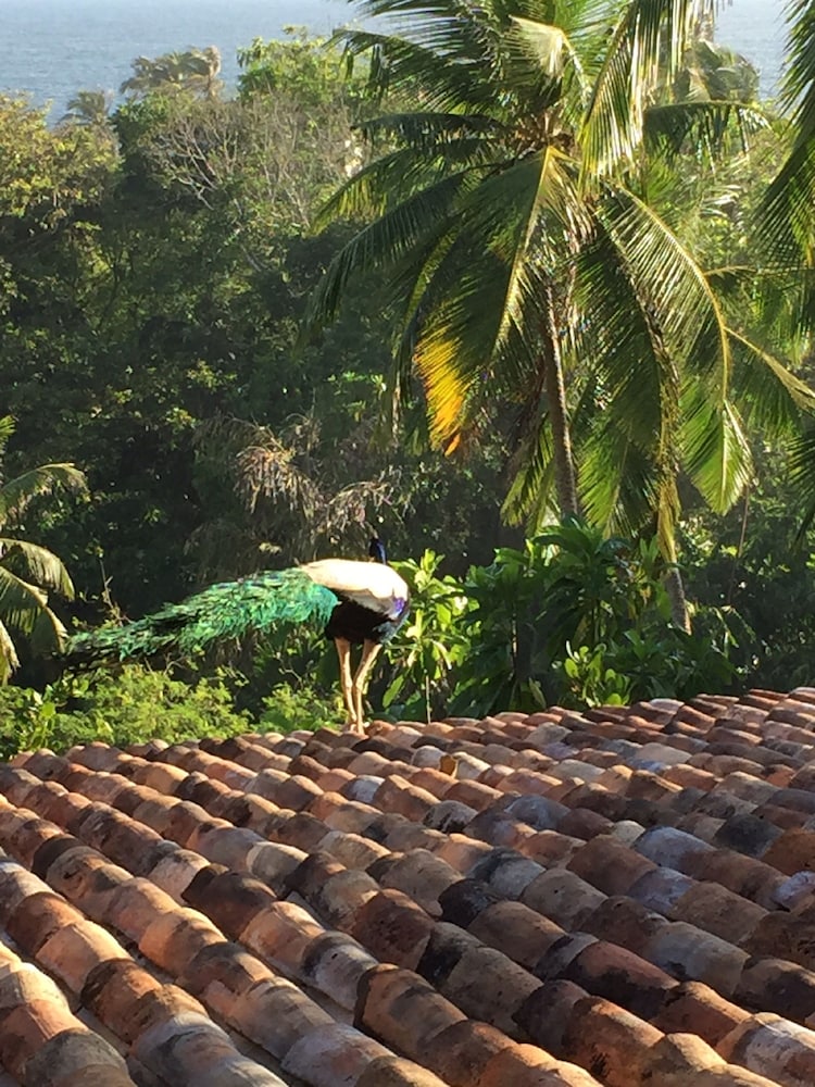 Lanka Eco Village