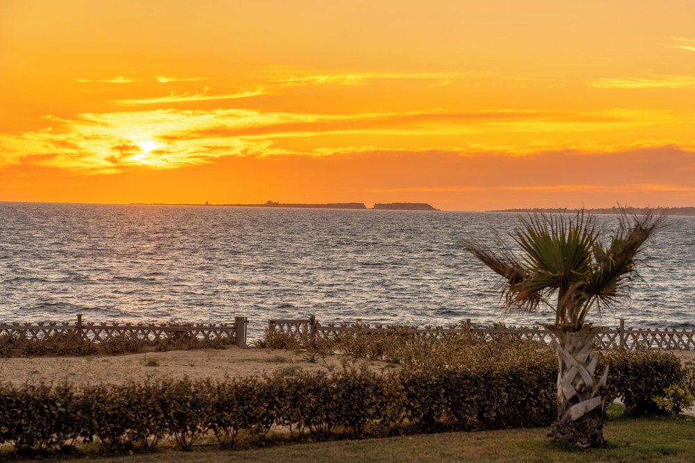 Sandoa Residence
