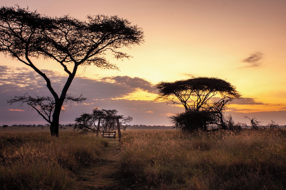 Mawe Luxury Tented Camp