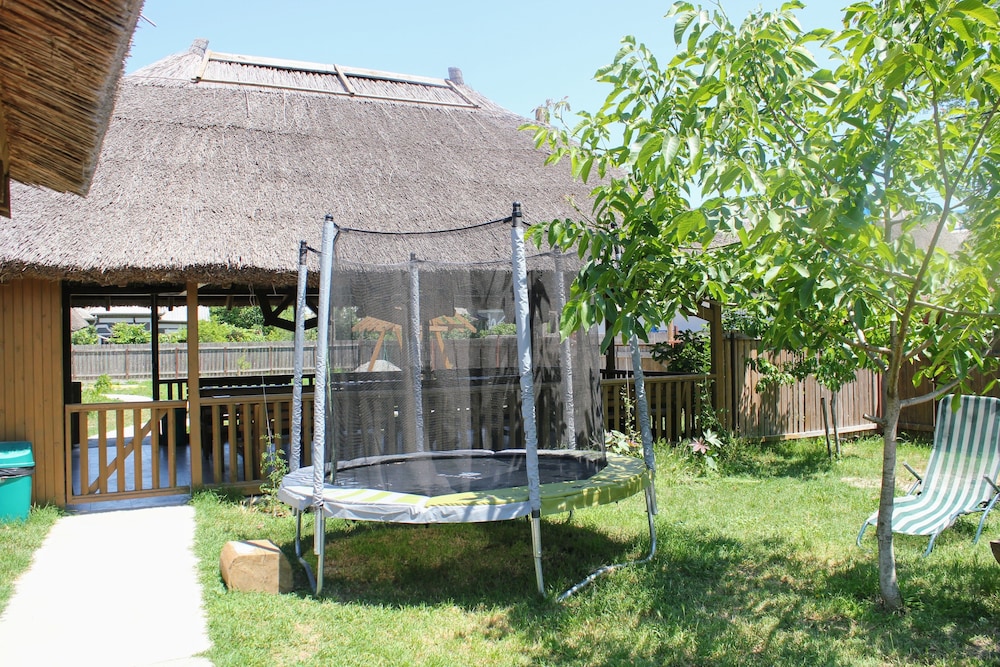Cerdacul cu Stuf view 4