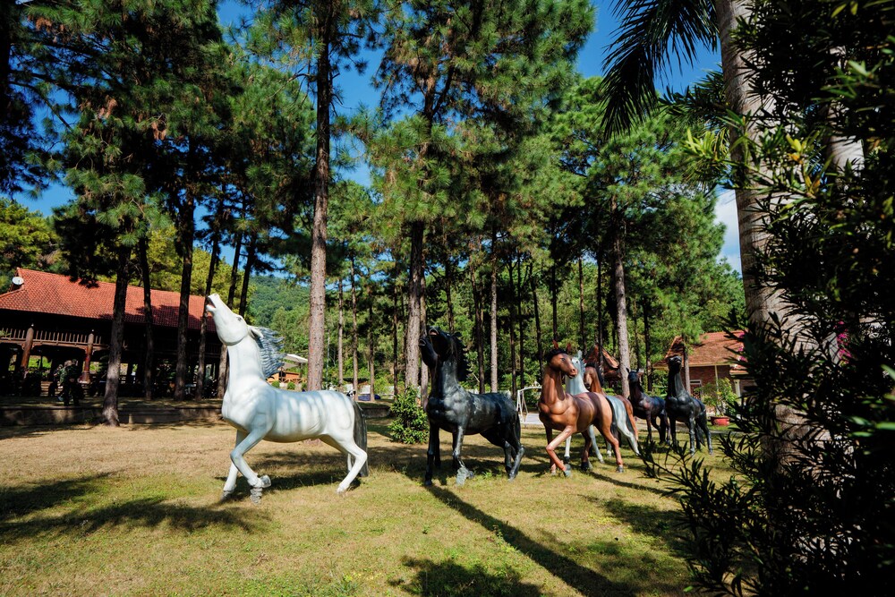 Bai Tu Long Mountain Resort