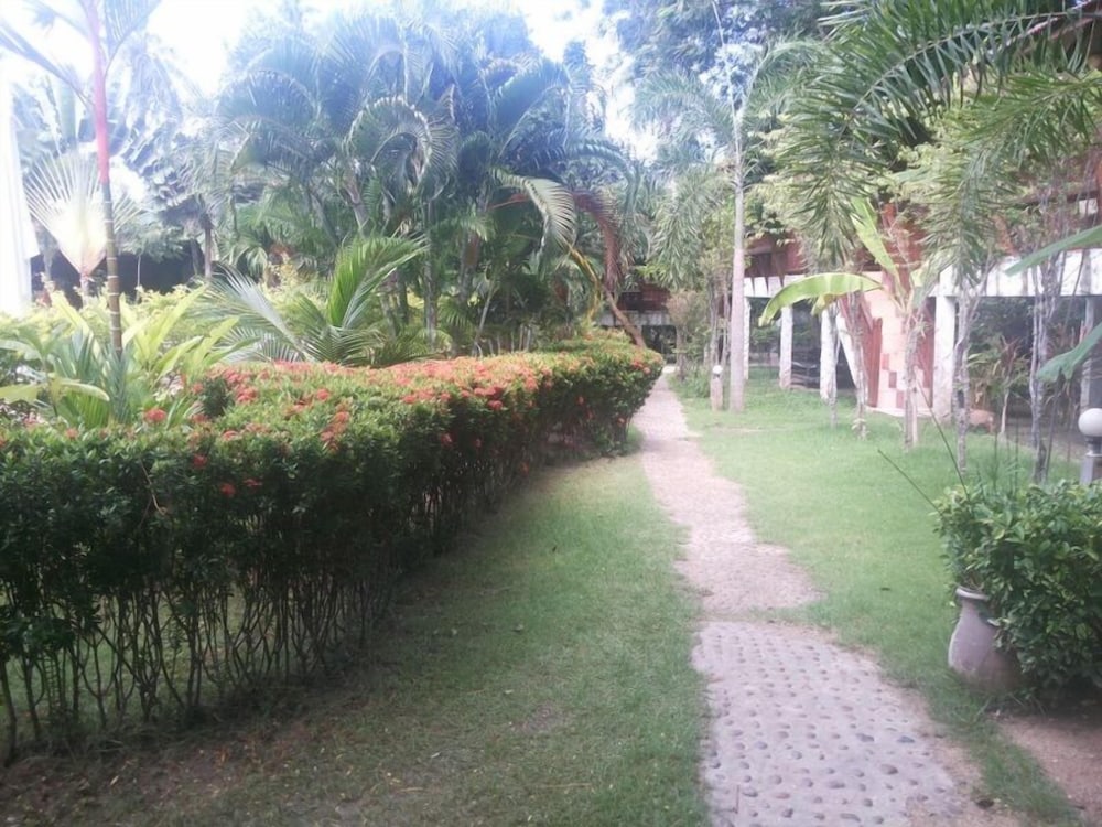 Photo 41