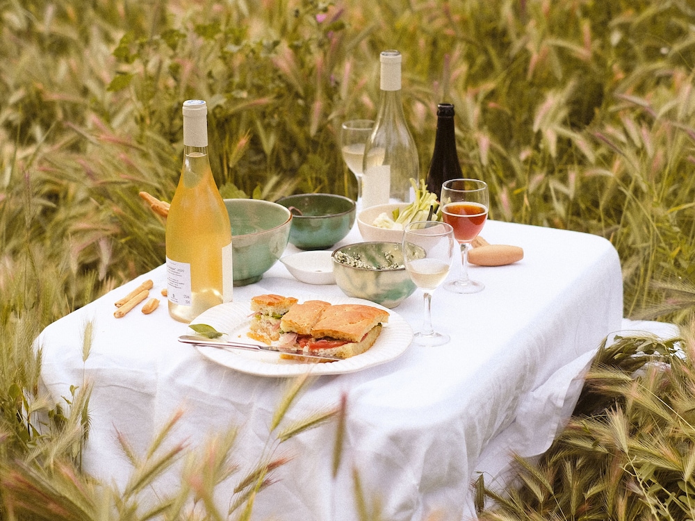 Le Galinier, Lourmarin, a Beaumier Guesthouse
