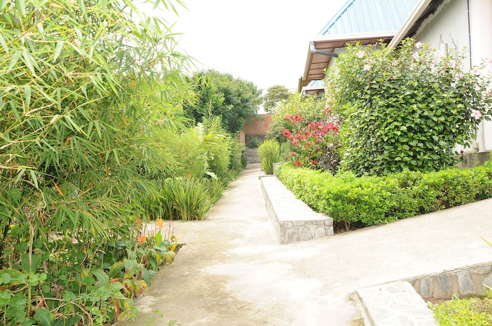 Photo 19