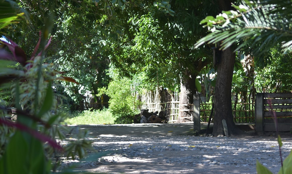 Del Mar Home Stay and Cafe
