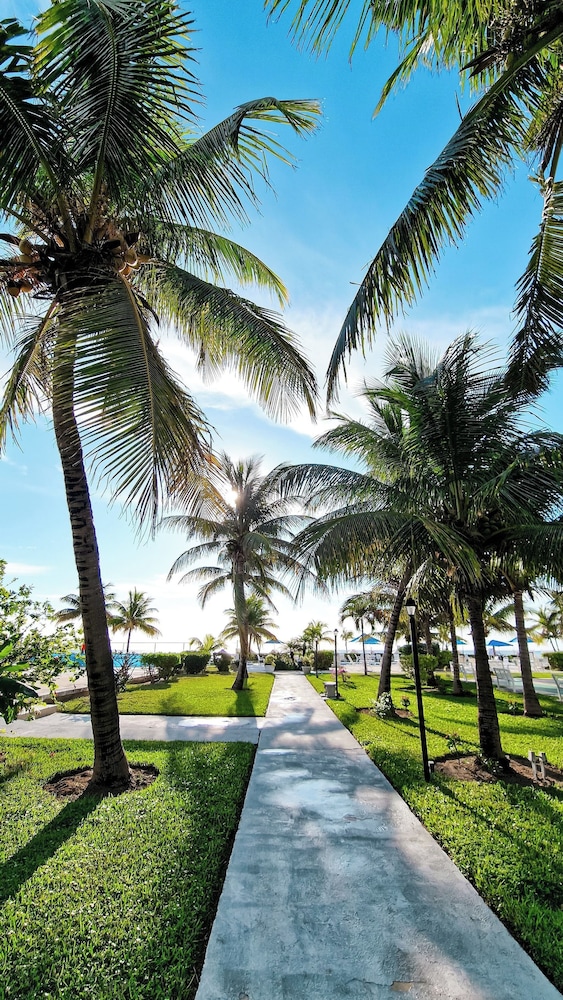 NEW Stunning Beachfront Condo at the Coral Beach