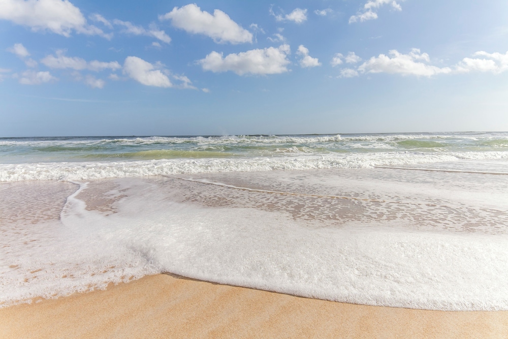 Ocean Eight 101 by Distinctive Beach Rentals