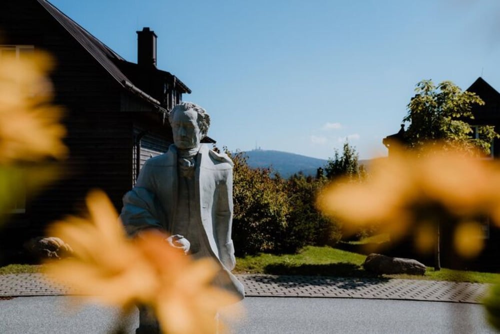 Ferienhaeuser im Torfhaus Harzresort, Torfhaus