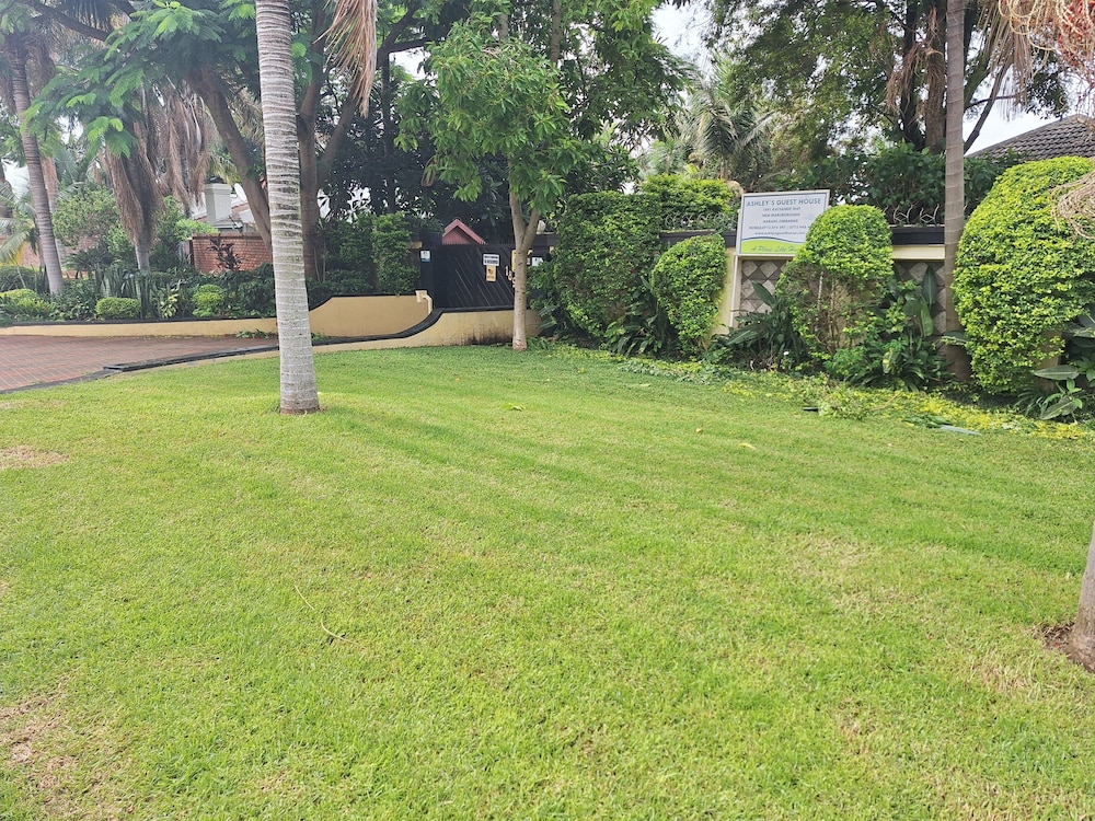 Photo 23