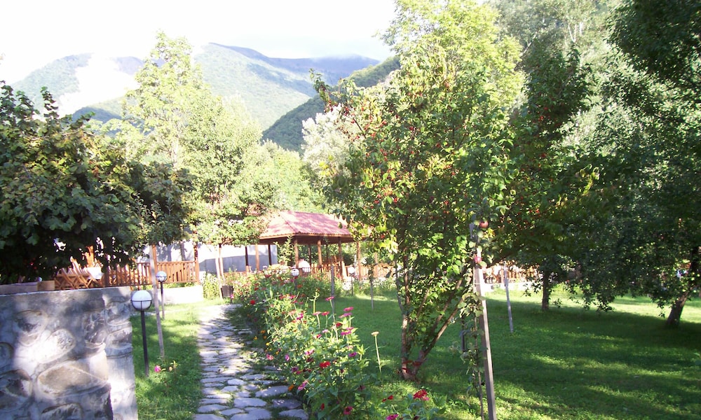 Photo 9